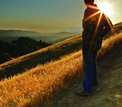 Online Workshop: Understanding Grief - 18/08/2026